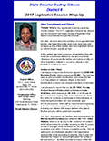 2017 Legislative Session Wrap-Up