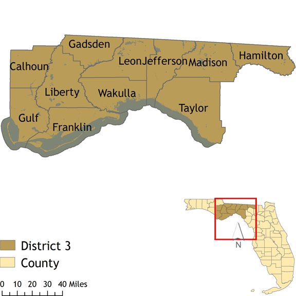 Florida state Senate District 3 map