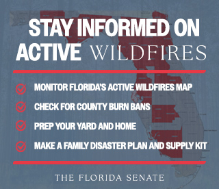 Image of Florida Wildfire Map